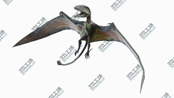 images/goods_img/20210312/Dimorphodon Animated 3D model/3.jpg
